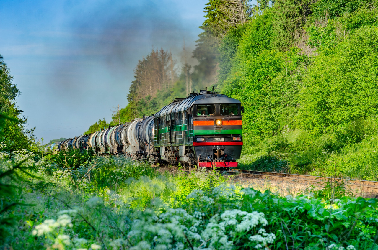 2ТЭ116-831