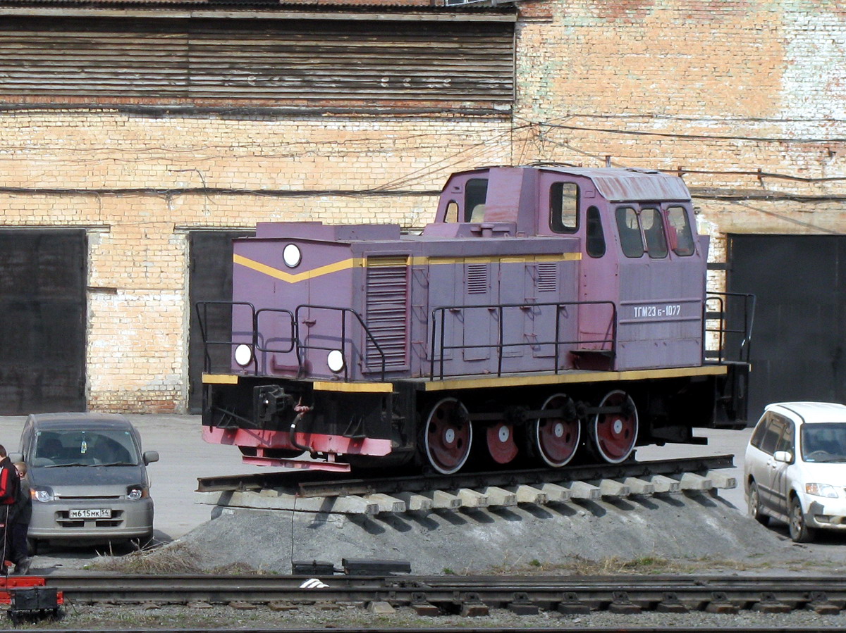 ТГМ23В48-1077
