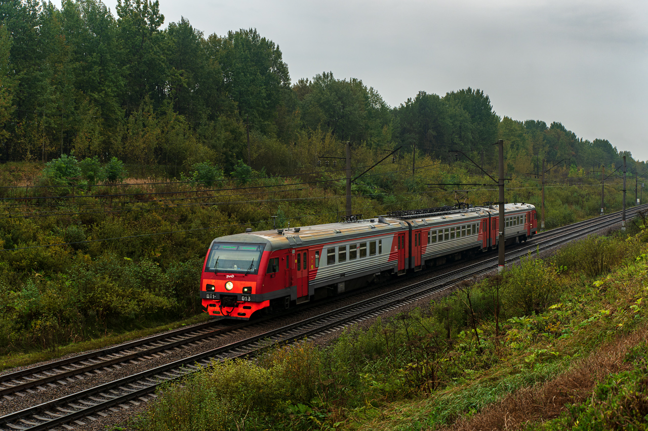 ДТ1-013