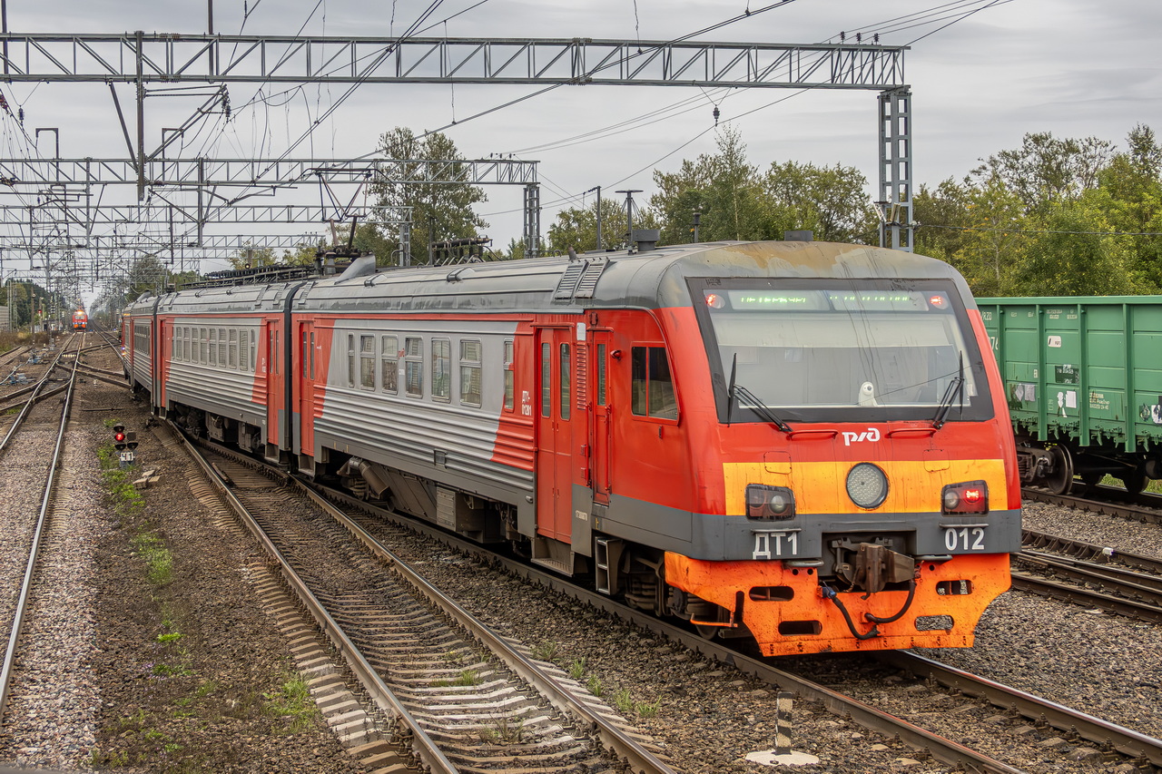 ДТ1-012