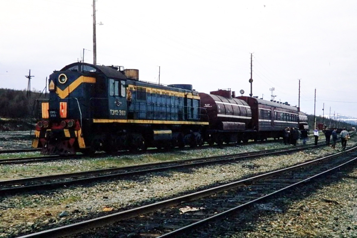 ТЭМ2-3160