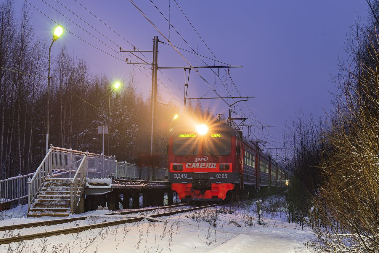 ЭД4М-0365
