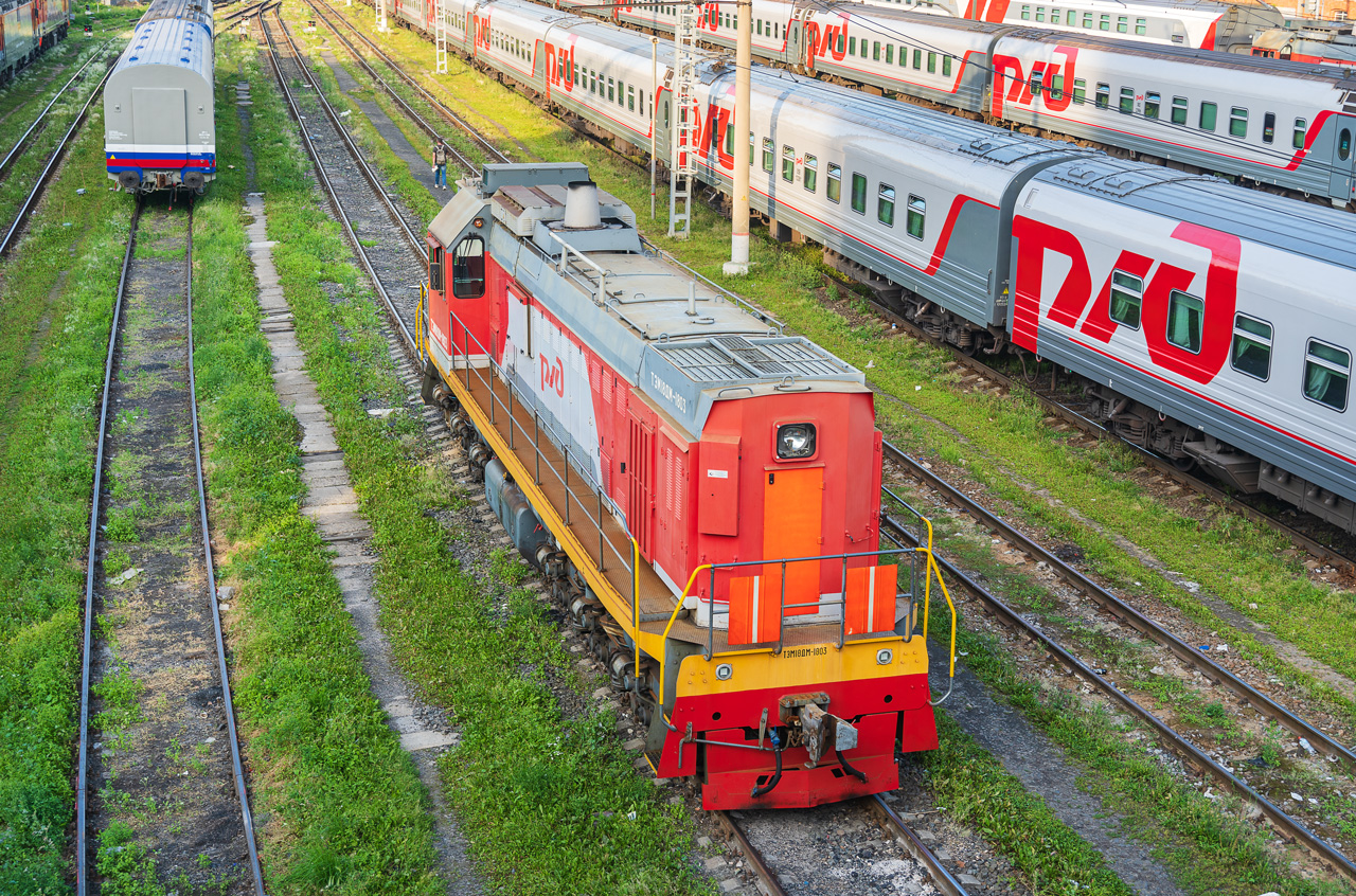 ТЭМ18ДМ-1803