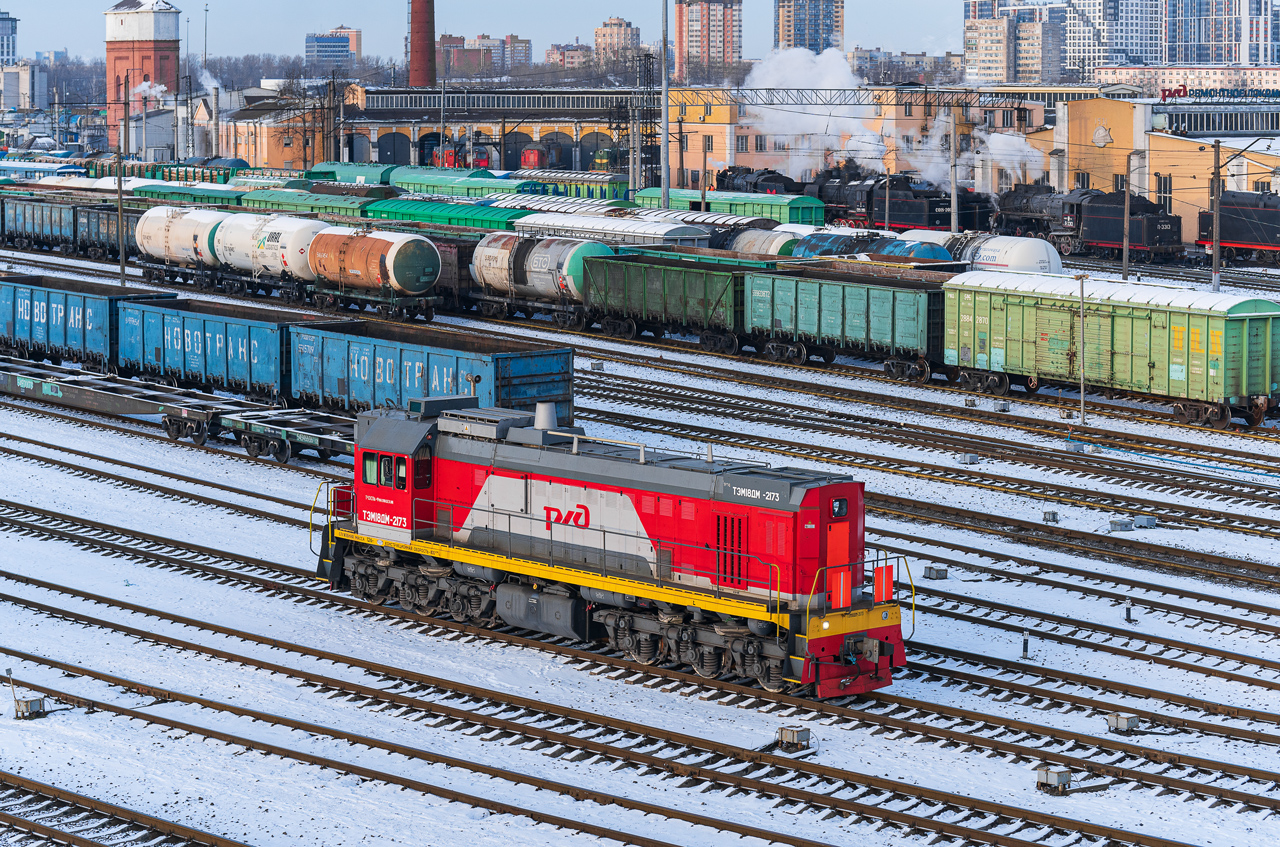 ТЭМ18ДМ-2173