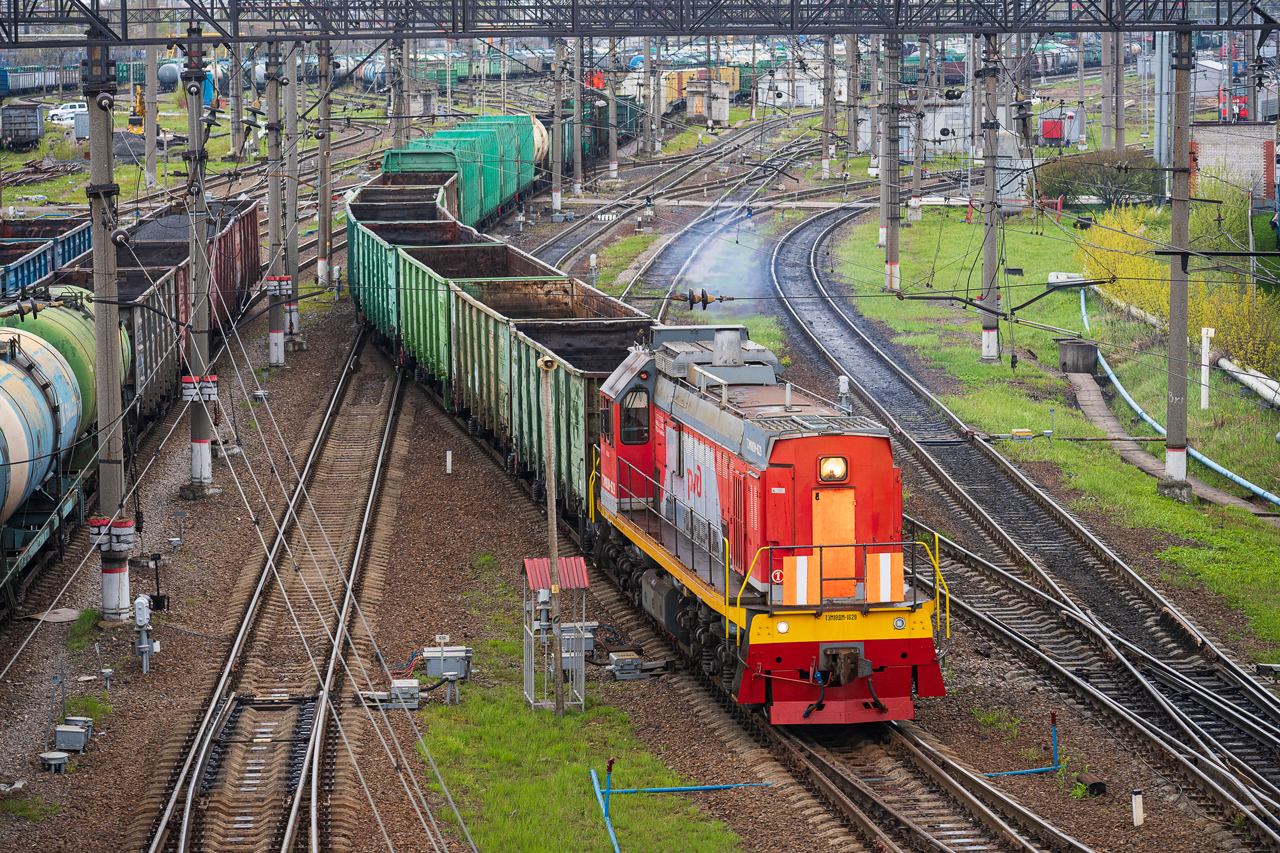 ТЭМ18ДМ-1629