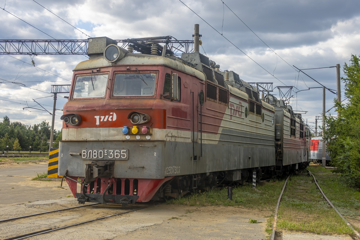 ВЛ80С-365