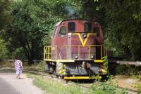 ТГМ23В48-1815