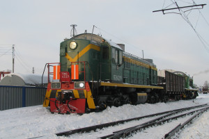 ТЭМ2-6529
