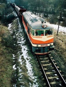 775 005-2